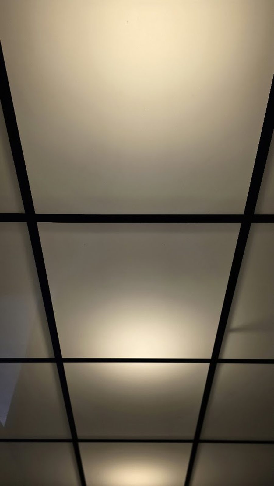Consultorio T306 — interior 4